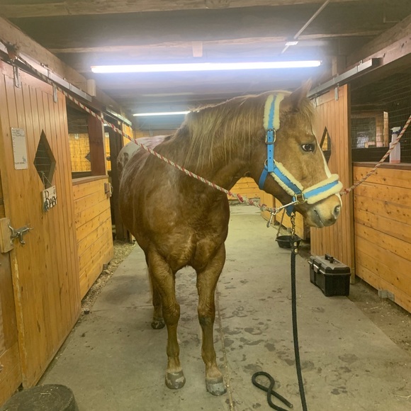 Meet Your Posher - Picture 3 of 8